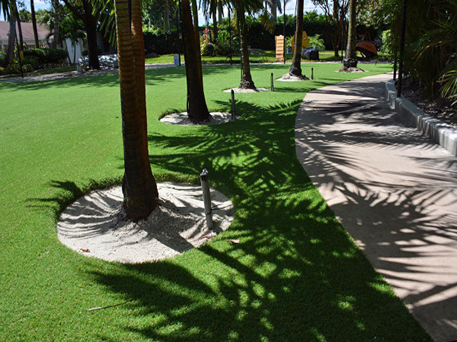 Artificial Turf Installation Puyallup, Washington Artificial Turf For Dogs, Commercial Landscape