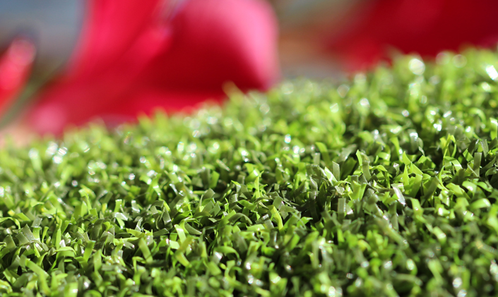 Artificial Grass Pro Putt-44 Artificial Grass Seattle, Washington