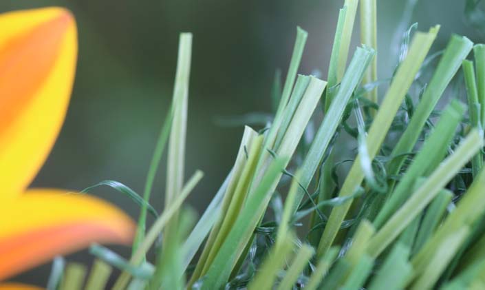 Artificial Grass S Blade-90 Green on Green Artificial Grass Seattle, Washington