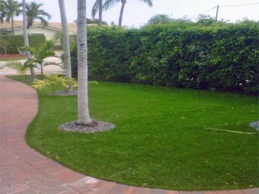 Artificial Grass Photos: Artificial Grass Arlington Heights, Washington Landscape Ideas, Landscaping Ideas For Front Yard