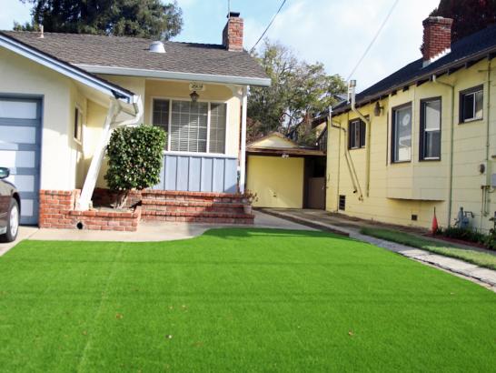 Artificial Grass Photos: Artificial Grass Bangor Trident Base, Washington Gardeners, Front Yard Landscaping Ideas