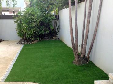 Artificial Grass Photos: Artificial Grass Brewster, Washington Landscape Ideas, Small Backyard Ideas