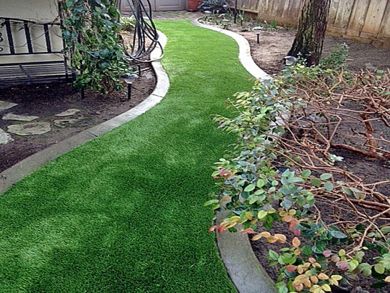 Artificial Grass Photos: Artificial Grass Carbonado, Washington Backyard Deck Ideas, Backyard Garden Ideas