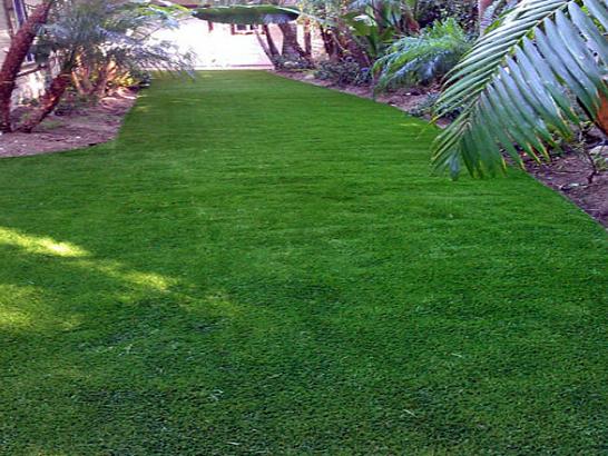 Artificial Grass Photos: Artificial Grass Carpet Artondale, Washington Gardeners, Backyard Makeover