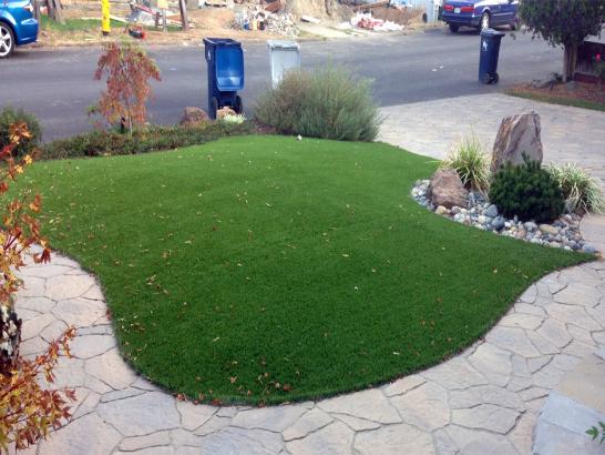 Artificial Grass Photos: Artificial Grass Carpet Cottage Lake, Washington Landscape Photos