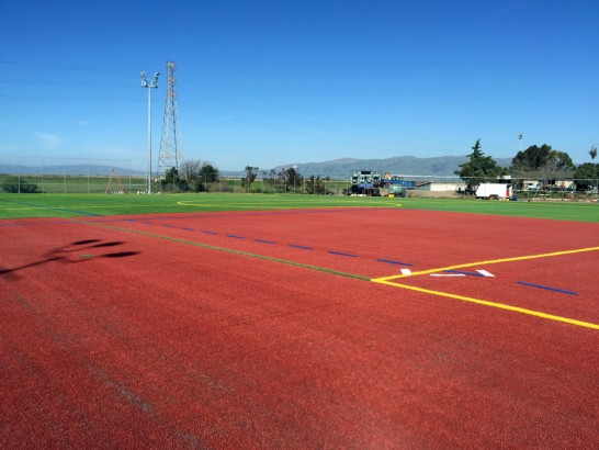 Artificial Grass Carpet Elk Plain, Washington High School Sports artificial grass