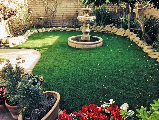 Artificial Grass Photos: Artificial Grass Carpet Elmer City, Washington Gardeners