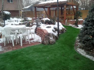 Artificial Grass Photos: Artificial Grass Carpet Enetai, Washington City Landscape, Cold Climate