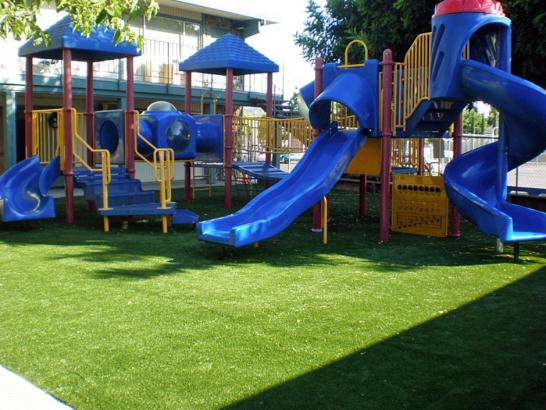 Artificial Grass Photos: Artificial Grass Carpet Fircrest, Washington Landscape Ideas, Commercial Landscape