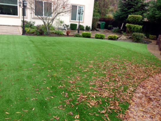 Artificial Grass Photos: Artificial Grass Carpet Kenmore, Washington Lawns, Backyard Design