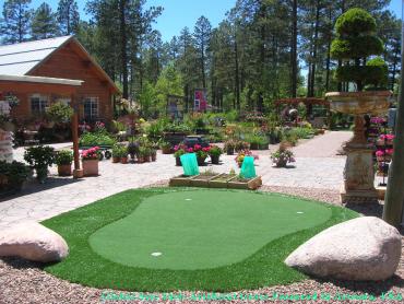 Artificial Grass Photos: Artificial Grass Carpet Medina, Washington Putting Green, Backyard Garden Ideas