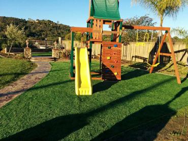 Artificial Grass Photos: Artificial Grass Carpet Normandy Park, Washington Roof Top, Backyards