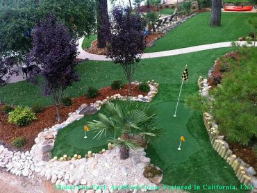 Artificial Grass Carpet Seattle, Washington Office Putting Green, Backyard Designs artificial grass