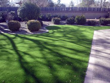 Artificial Grass Photos: Artificial Grass Carpet Shelton, Washington Home And Garden, Front Yard Ideas
