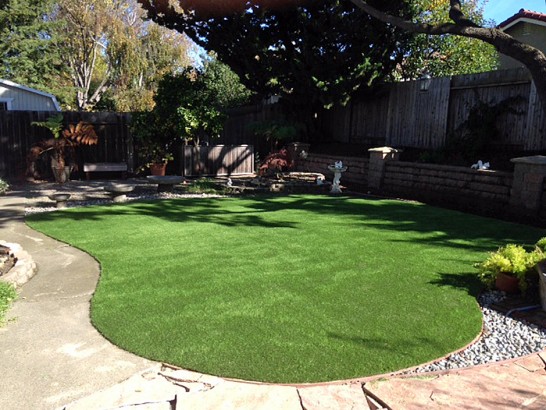 Artificial Grass Photos: Artificial Grass Carpet Silvana, Washington City Landscape, Backyard Designs