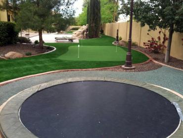 Artificial Grass Photos: Artificial Grass Carpet Snoqualmie Pass, Washington Putting Green Flags, Backyard Landscaping