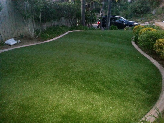 Artificial Grass Photos: Artificial Grass Carpet South Cle Elum, Washington Landscape Photos, Front Yard Design