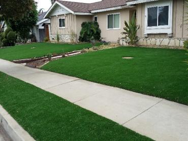 Artificial Grass Photos: Artificial Grass Carpet Terrace Heights, Washington City Landscape, Landscaping Ideas For Front Yard