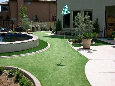 Artificial Grass Photos: Artificial Grass Carpet Tokeland, Washington Home Putting Green, Backyard Landscaping