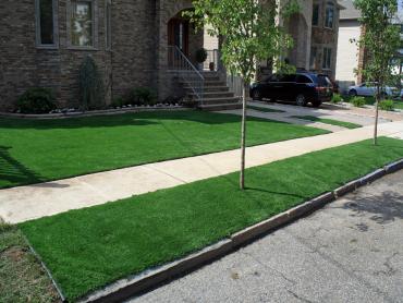 Artificial Grass Photos: Artificial Grass Conway, Washington Paver Patio, Front Yard Design