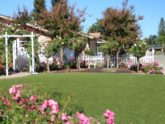 Artificial Grass Photos: Artificial Grass Creston, Washington Backyard Deck Ideas, Small Front Yard Landscaping