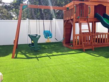 Artificial Grass Photos: Artificial Grass Ferndale, Washington Playground Safety, Backyards