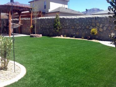 Artificial Grass Photos: Artificial Grass Installation Bellingham, Washington Landscaping Business, Backyard