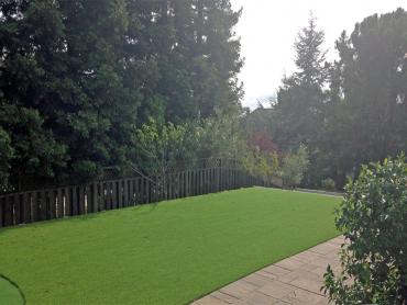 Artificial Grass Photos: Artificial Grass Installation Hockinson, Washington Lawn And Garden, Backyard Ideas