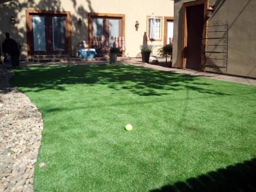 Artificial Grass Photos: Artificial Grass Installation Malone, Washington Rooftop, Backyards