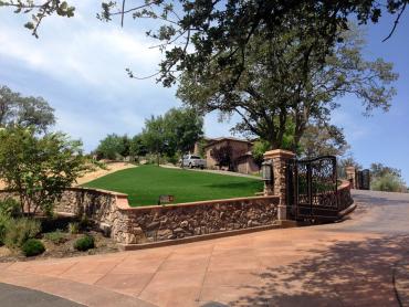 Artificial Grass Photos: Artificial Grass Installation Minnehaha, Washington Backyard Deck Ideas, Front Yard