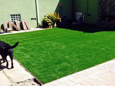 Artificial Grass Photos: Artificial Grass Installation Sekiu, Washington Rooftop, Dogs Park