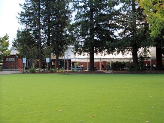 Artificial Grass Photos: Artificial Grass Lakeland North, Washington Playground Flooring, Parks