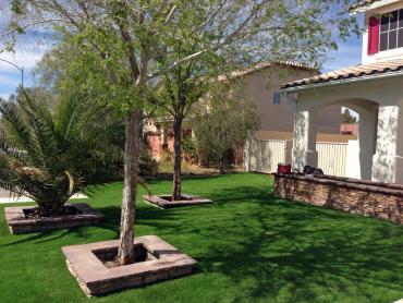 Artificial Grass Photos: Artificial Grass McCleary, Washington Paver Patio, Landscaping Ideas For Front Yard