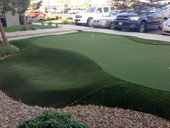 Artificial Grass Photos: Artificial Grass Odessa, Washington Rooftop, Commercial Landscape