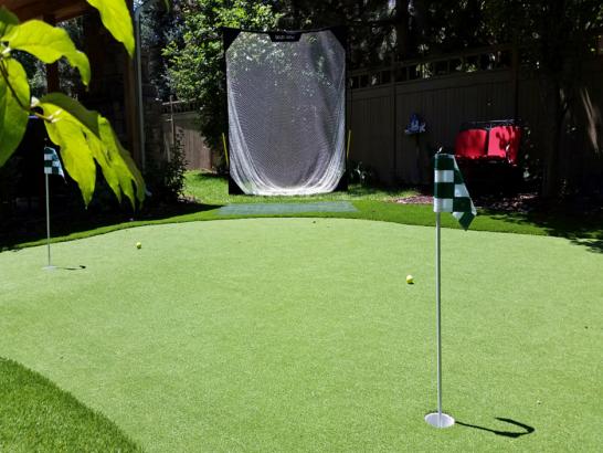 Artificial Grass Photos: Artificial Grass Prosser, Washington Putting Greens, Backyard Garden Ideas