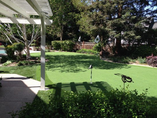 Artificial Grass Photos: Artificial Grass Rochester, Washington Lawns