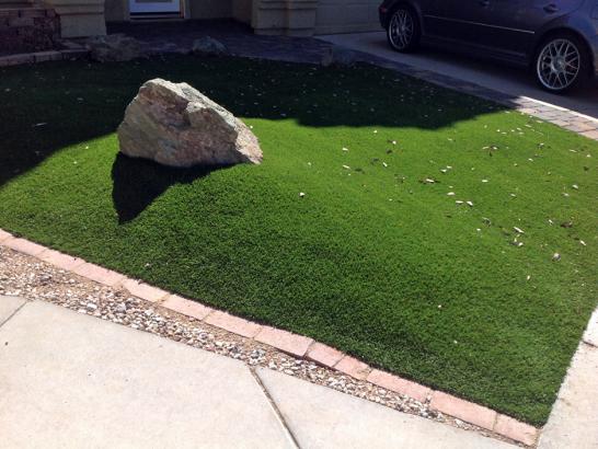 Artificial Grass Photos: Artificial Grass Satus, Washington Rooftop