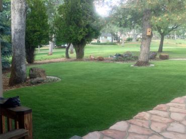 Artificial Grass Photos: Artificial Grass Smokey Point, Washington Lawn And Landscape, Front Yard Landscaping Ideas