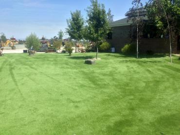 Artificial Grass Photos: Artificial Grass Vaughn, Washington Dog Pound, Parks