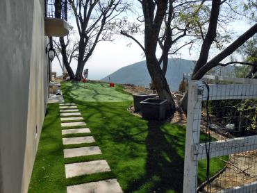 Artificial Grass Photos: Artificial Lawn Battle Ground, Washington Putting Green, Backyard Landscaping Ideas