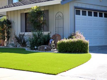 Artificial Grass Photos: Artificial Lawn Buena, Washington Landscape Ideas, Front Yard Landscaping Ideas