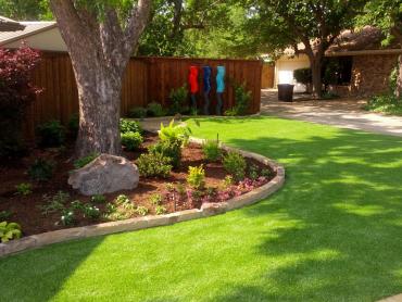 Artificial Grass Photos: Artificial Lawn Darrington, Washington Roof Top, Backyard Design