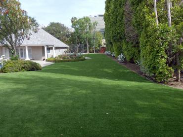 Artificial Grass Photos: Artificial Lawn Kendall, Washington Dog Pound, Front Yard