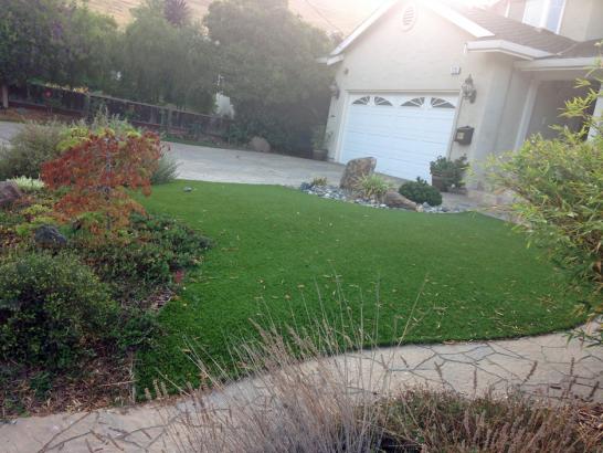 Artificial Grass Photos: Artificial Lawn Klahanie, Washington Roof Top, Front Yard Landscaping