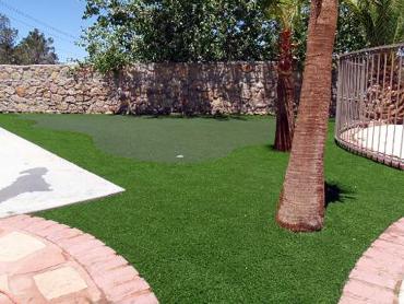 Artificial Grass Photos: Artificial Lawn Longview Heights, Washington Indoor Putting Green, Backyard Landscaping