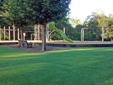 Artificial Grass Photos: Artificial Lawn McChord Air Force Base, Washington Roof Top, Parks