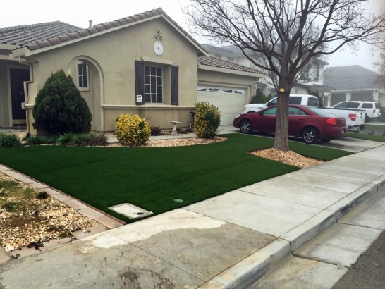 Artificial Grass Photos: Artificial Lawn Oak Harbor, Washington Home And Garden, Front Yard Landscaping