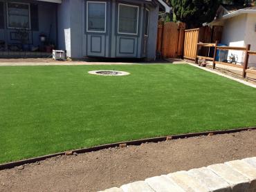 Artificial Grass Photos: Artificial Lawn Riverside, Washington Backyard Playground, Front Yard Ideas