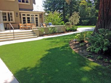 Artificial Grass Photos: Artificial Lawn Wilkeson, Washington Lawns, Backyard Makeover