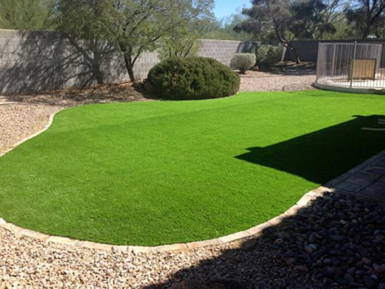 Artificial Grass Photos: Artificial Turf Burbank, Washington Landscape Ideas, Backyard Garden Ideas